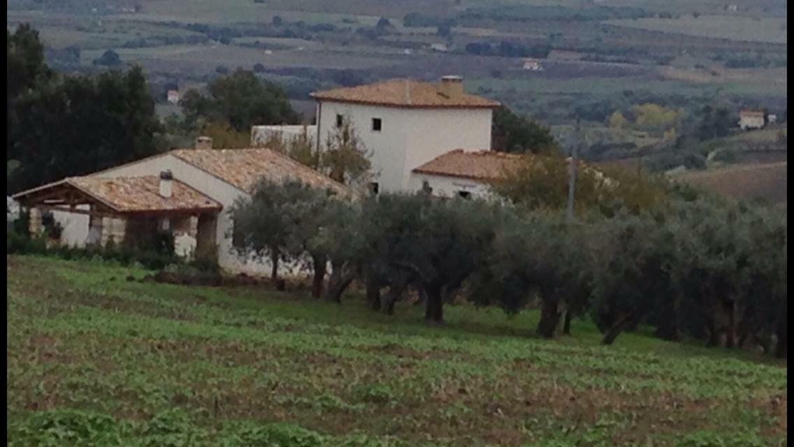 Villa Angiolina, Molise Guglionesi Екстер'єр фото