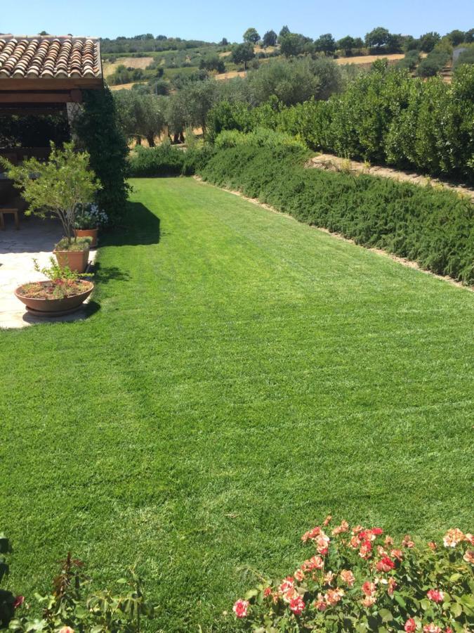Villa Angiolina, Molise Guglionesi Екстер'єр фото